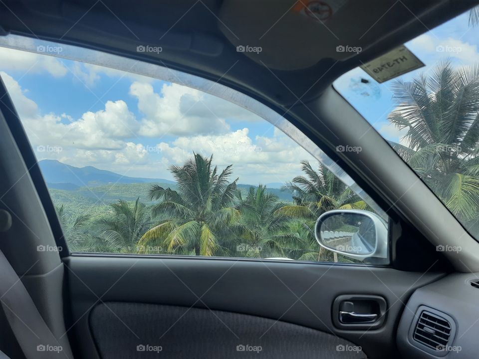 Nature beyond the window