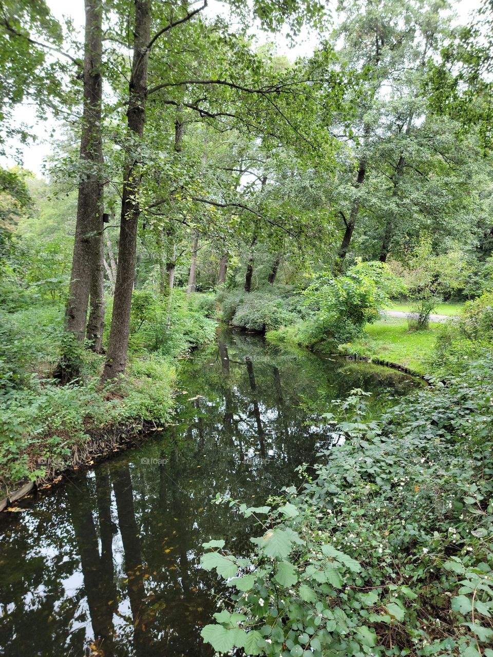 One of many parks in Berlin, it truly felt like a forest, you could get lost..for a bit