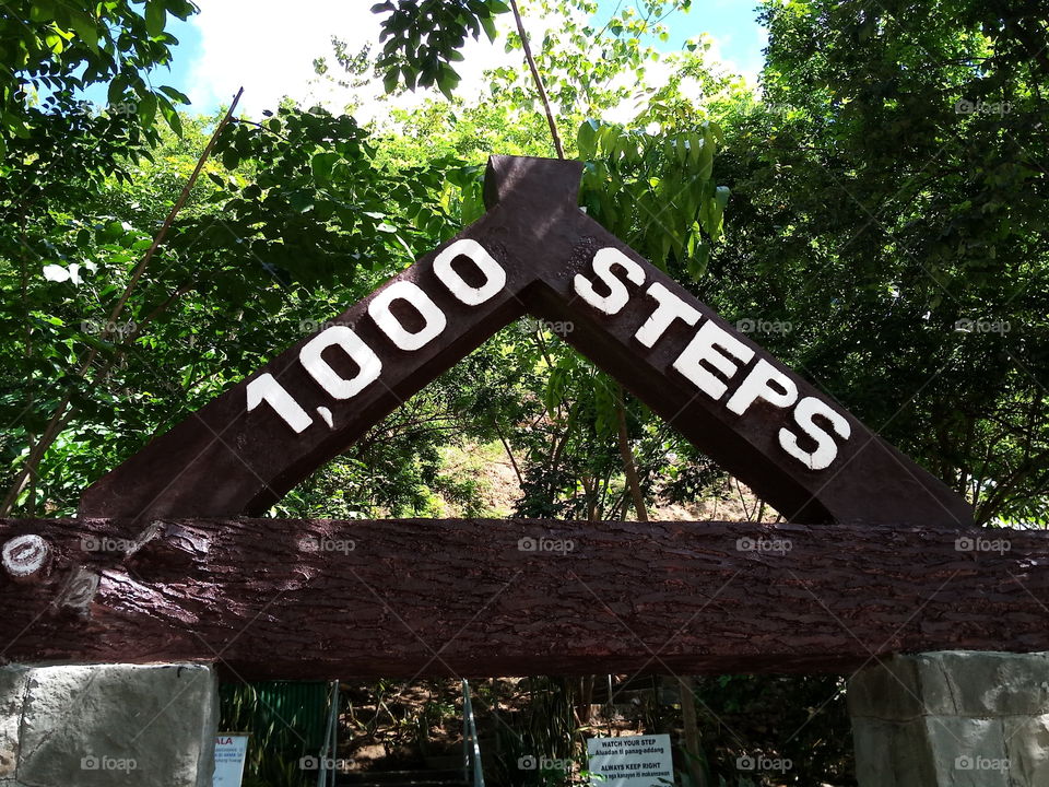 1000 STEPS