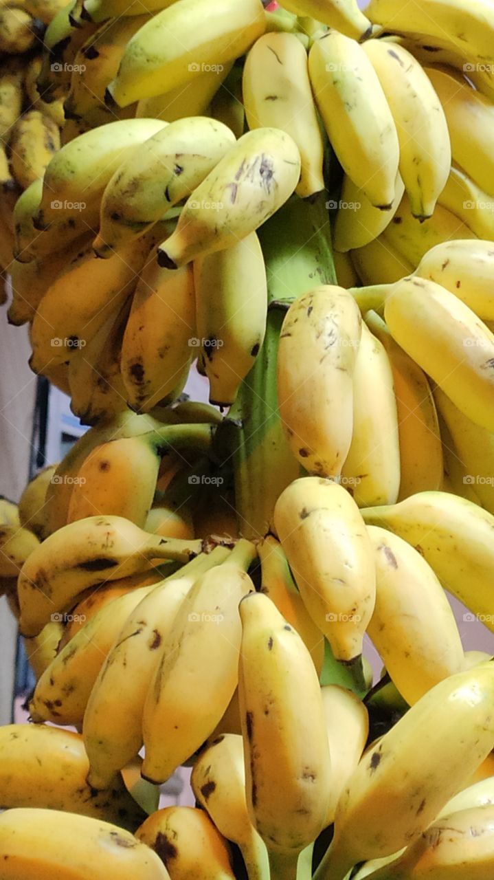 Nutritious Banana bunch