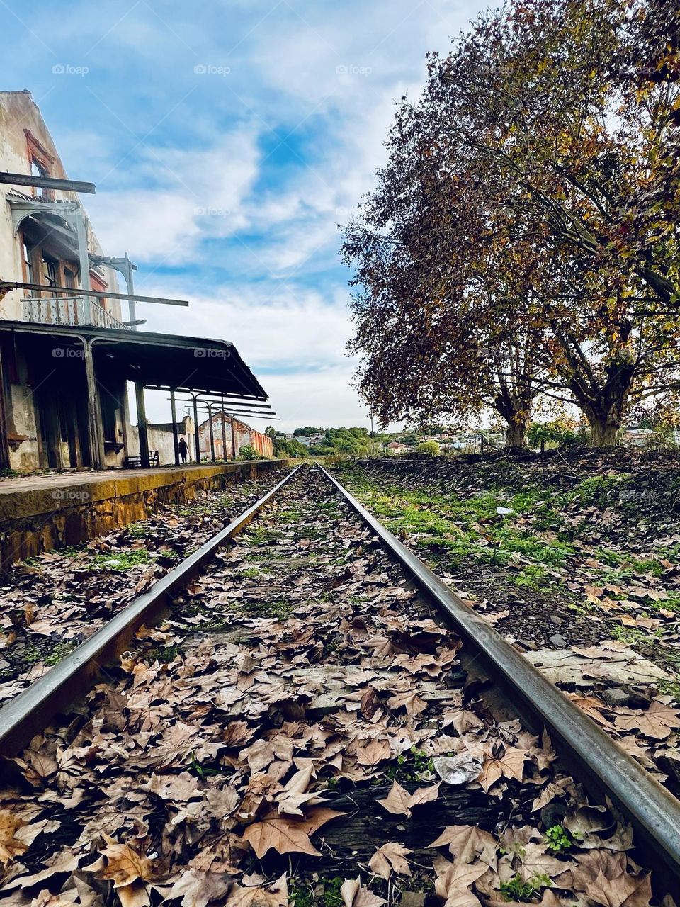 A panoramic view of an abandoned railway line surrounded by fallen leaves. The perspective captures the trails that lead to a distant horizon, with a backdrop of an old station and a large tree losing its leaves