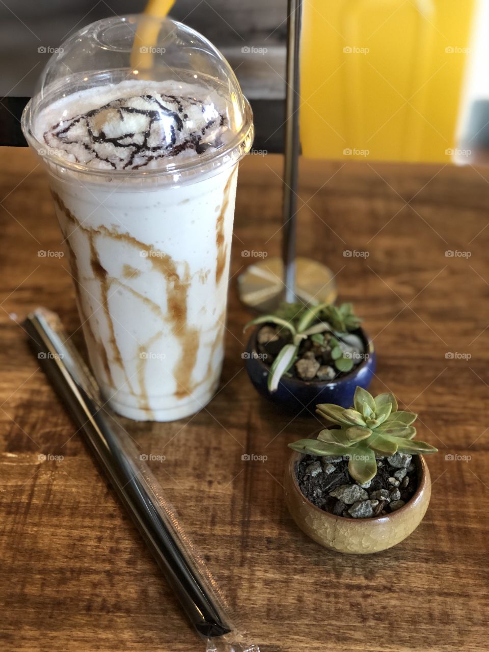 Delicious Boba Drink with Tiny Succulents