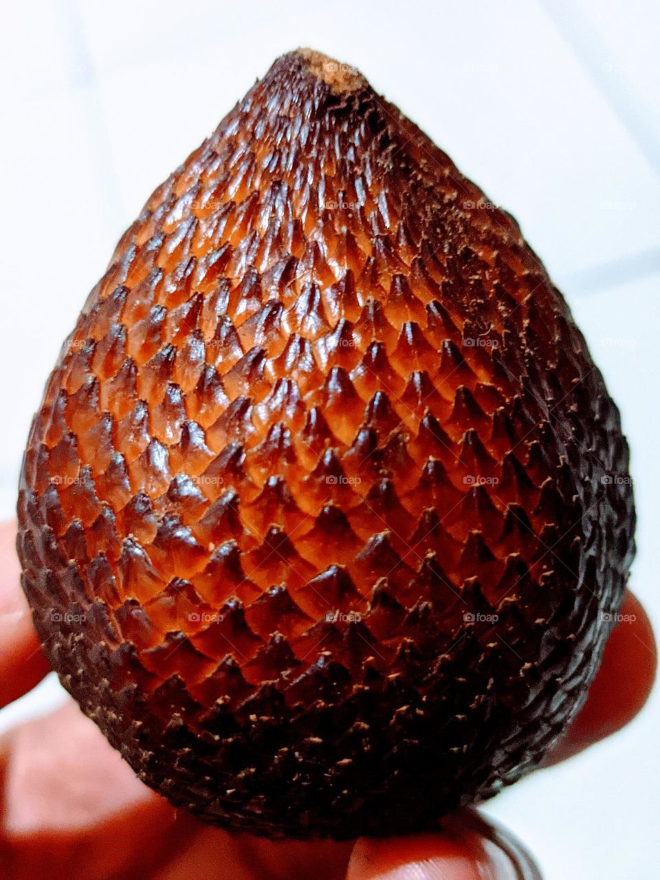 snakefruit😁