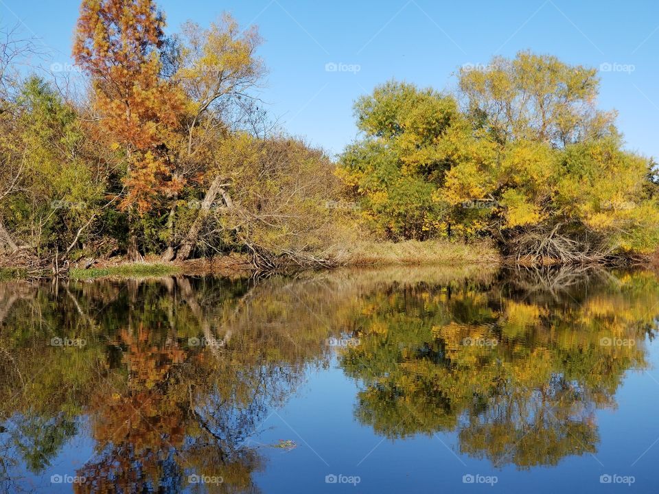 Reflections of Fall