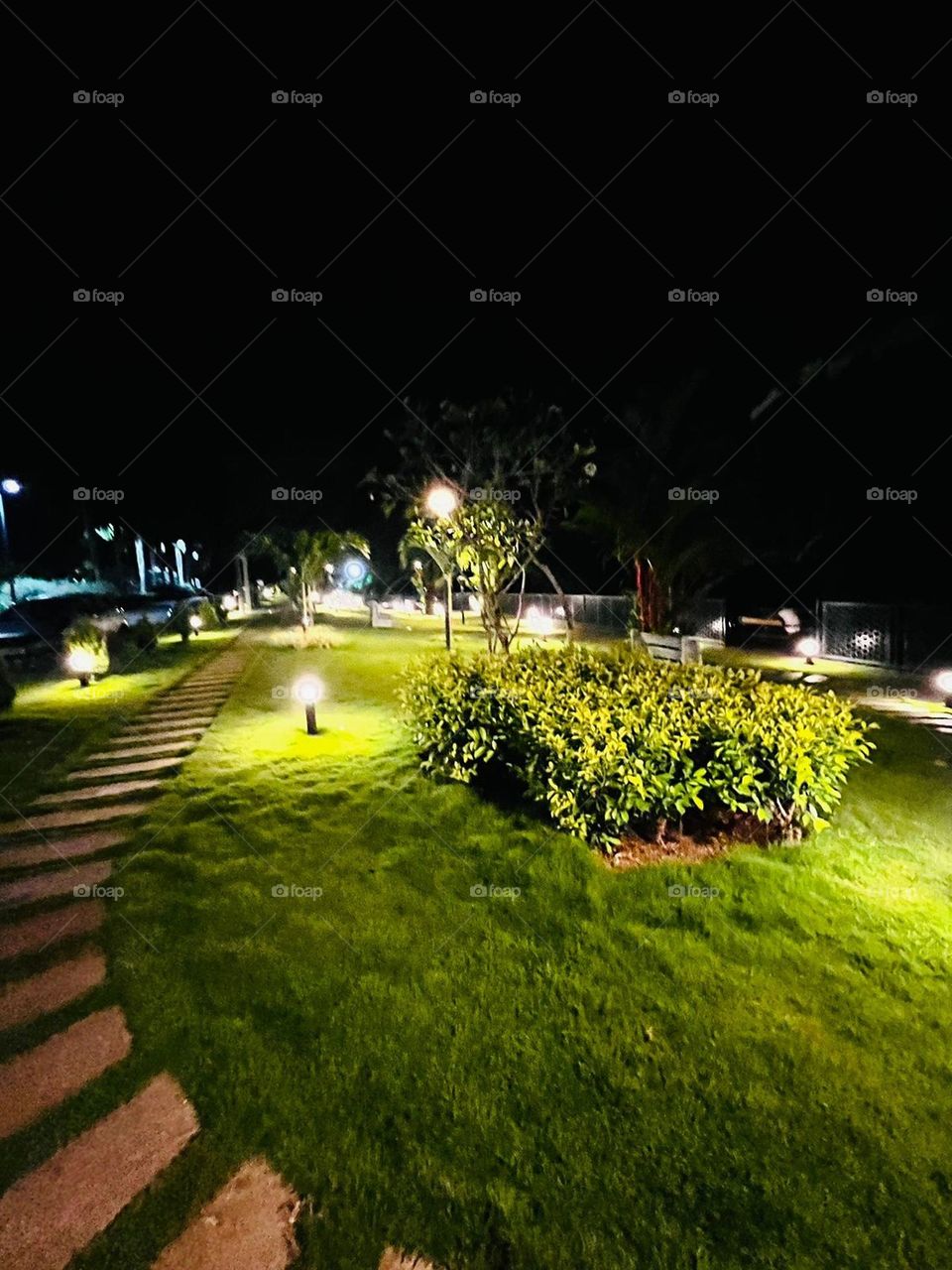 Beautiful view of a garden.