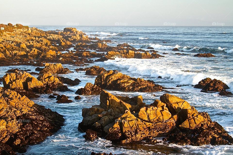 Mornings First Light