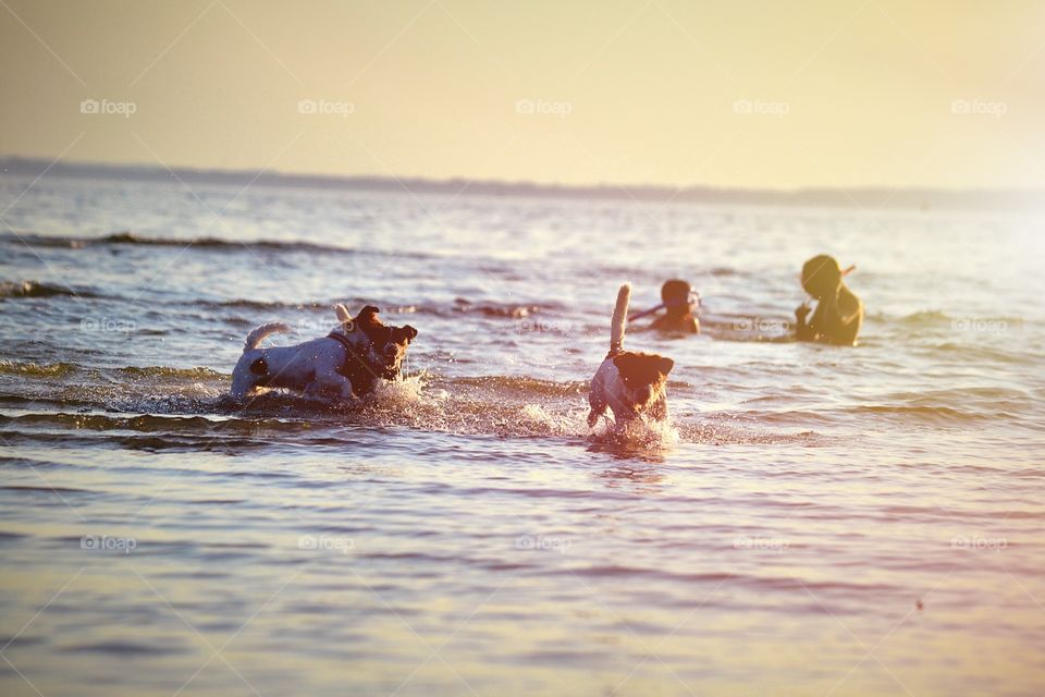 Family joy. Family taking the last bath before the sun goes down