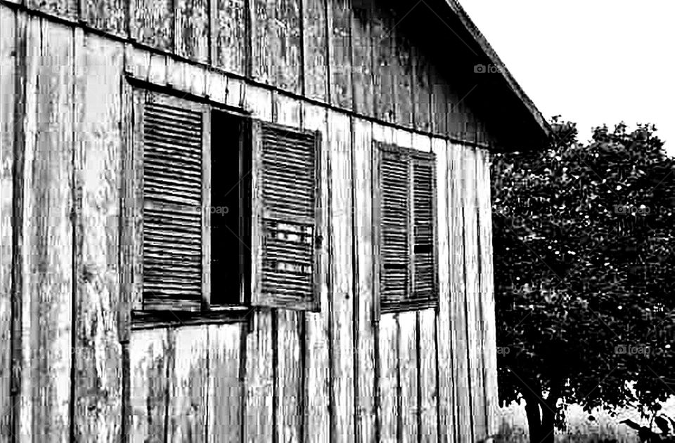 Fachada de madeira