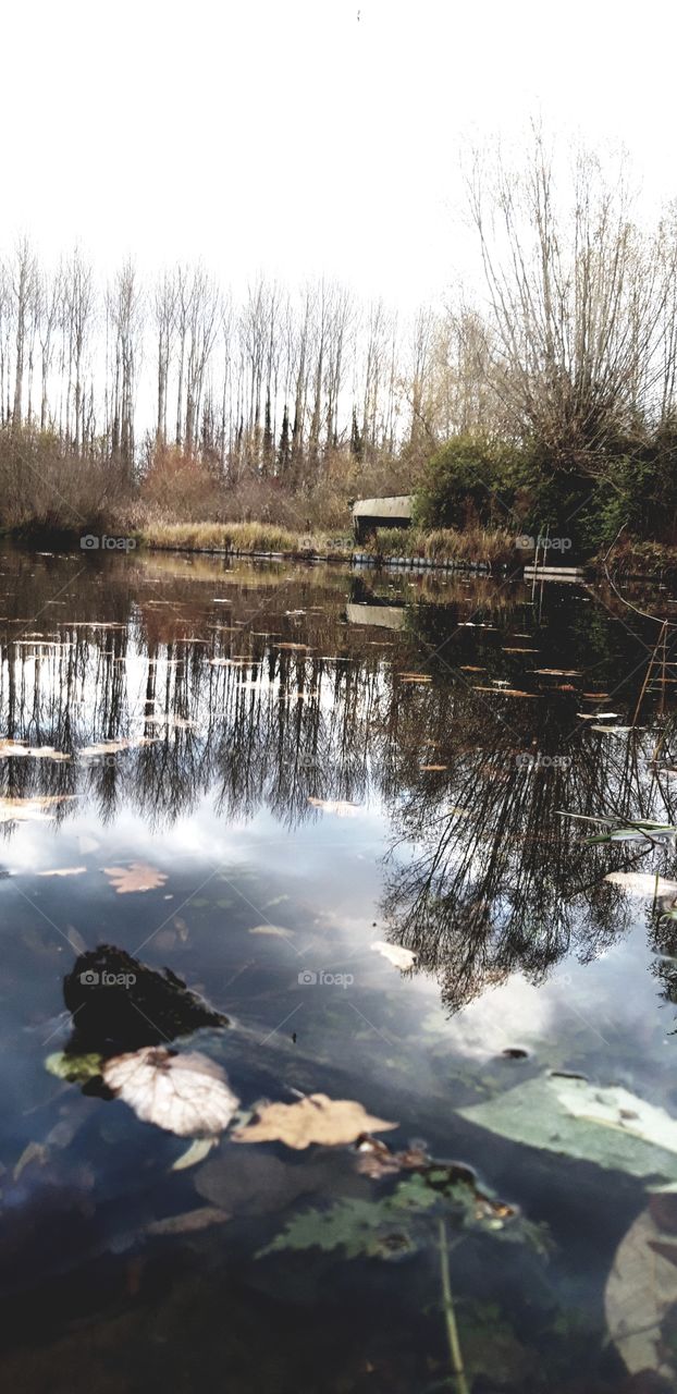 étang oisy le verger