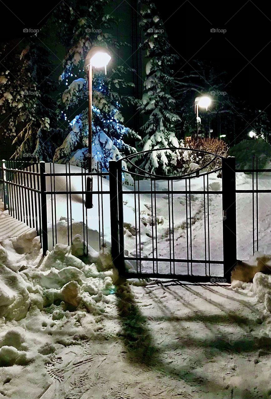 Gate to winterland