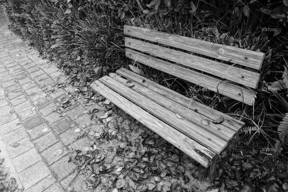 A wooden bench situated in the garden where fallen leaves can be seen on the pavement made of stones. Monochrome image.
