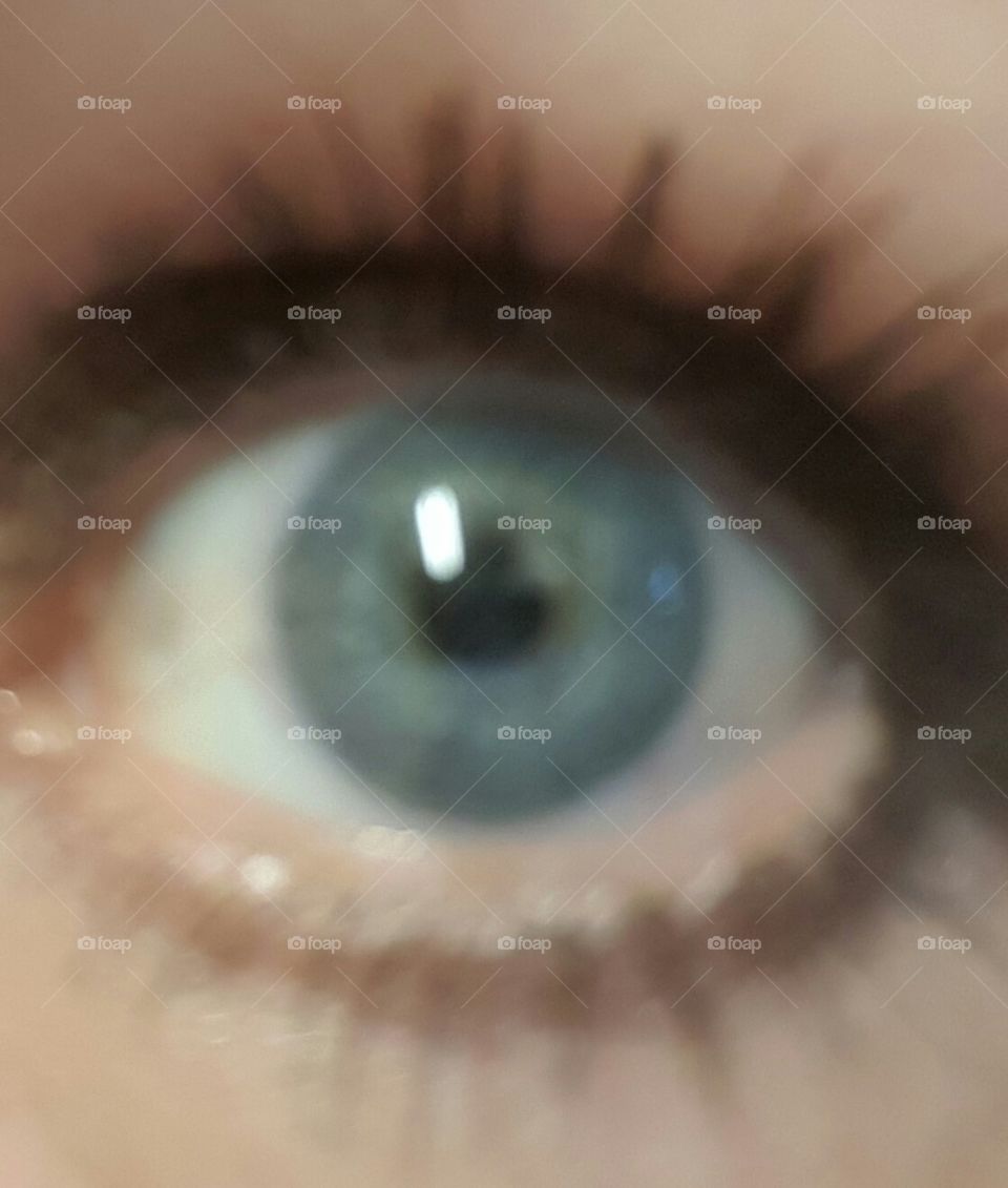 eye