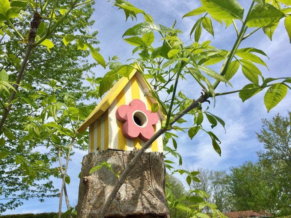 Bird house 