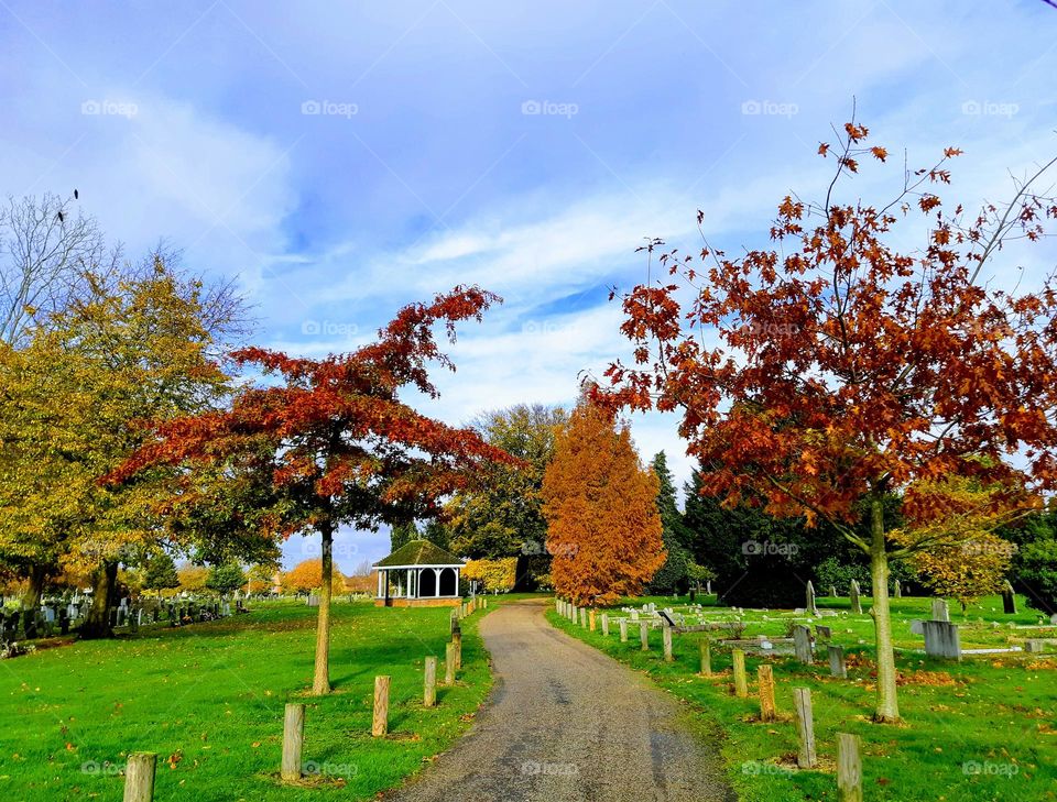 Bright autumn colours in a cemetery with blue sky  cloud formations and winding path leading to a gazebo in the foreground