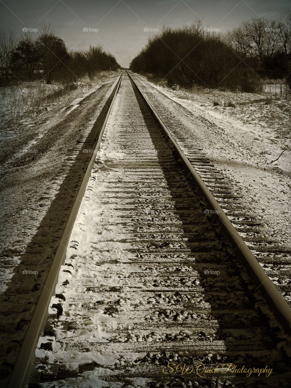 Winter Train Tracks 
