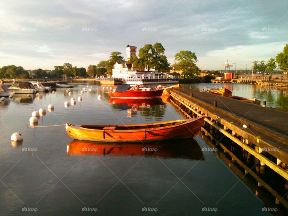 sweden tree water sea by lenacarlsson