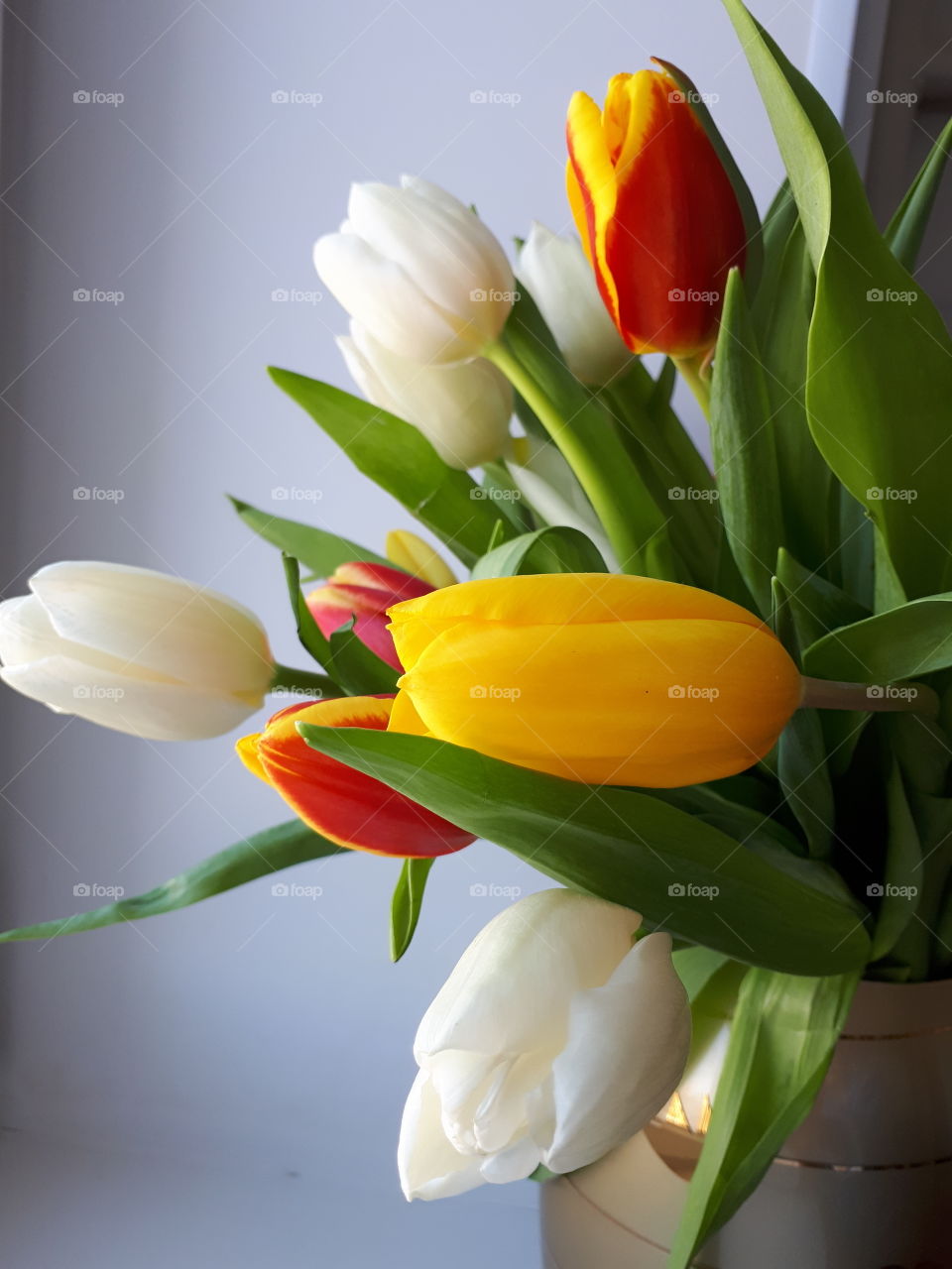 Tulips in a vase