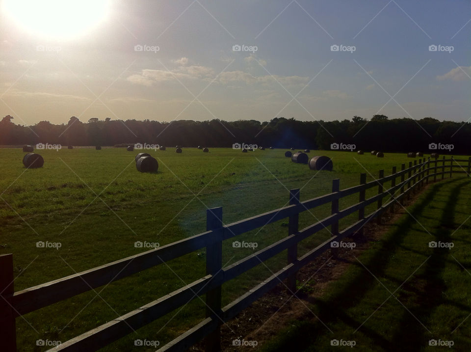 sky field grass summer by ivan-photos