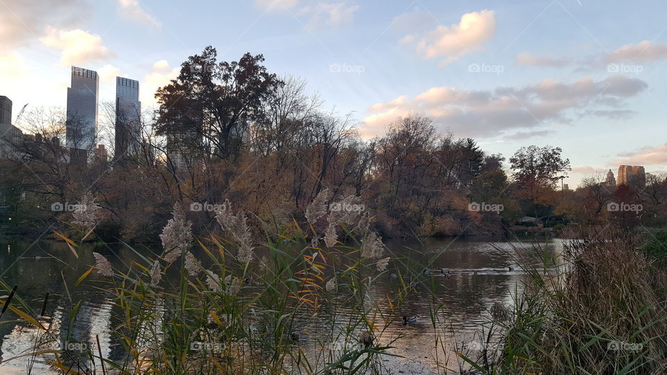 Autumn in New York City.🍁🍂🍁🍂🍁