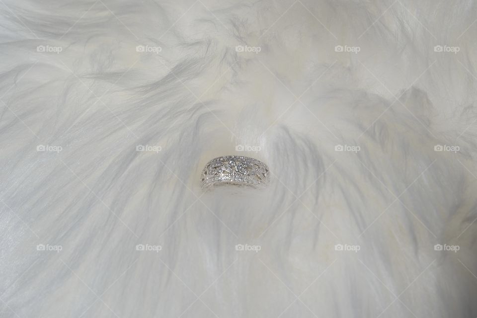 Silver ring in the white background 