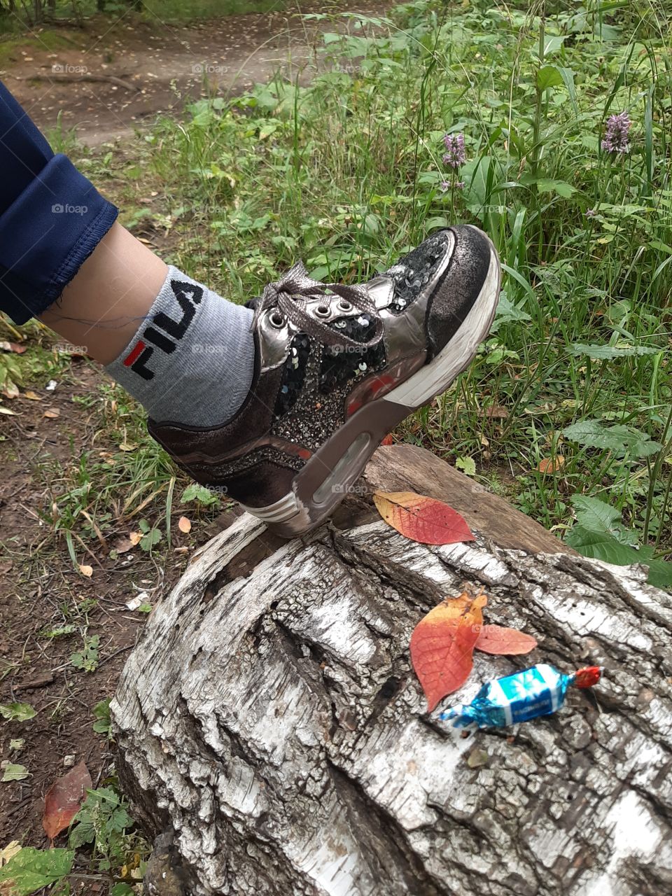 Шла,  шла   и   на   пенёчке   конфету  нашла!