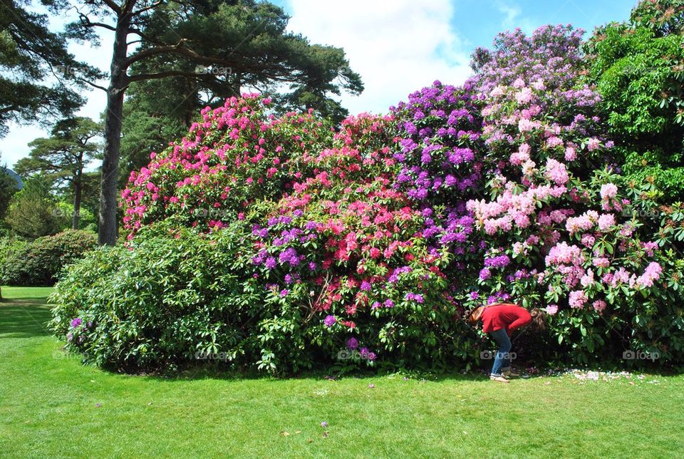 Woman at flower garden