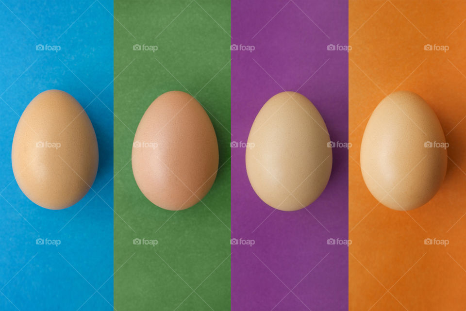 Set of eggs on a colored background