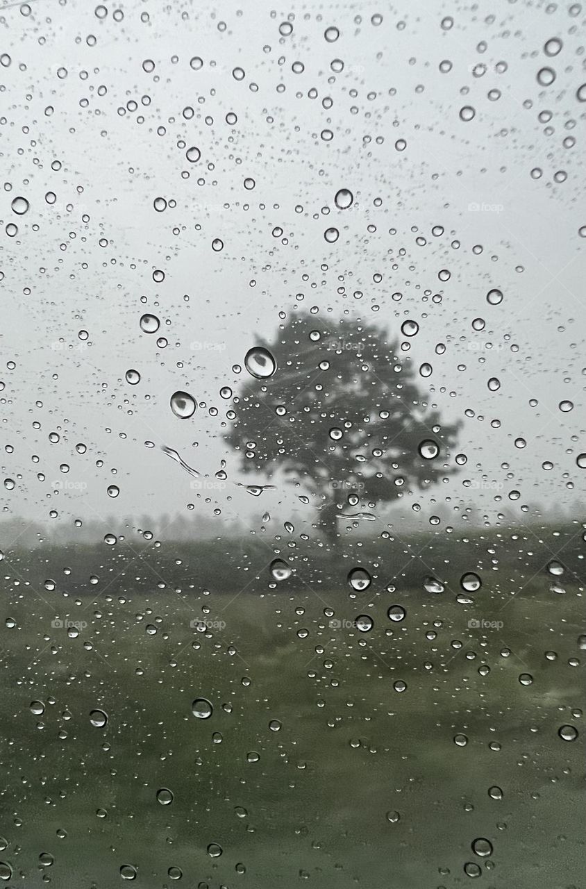 Looking outside on a rainy day
