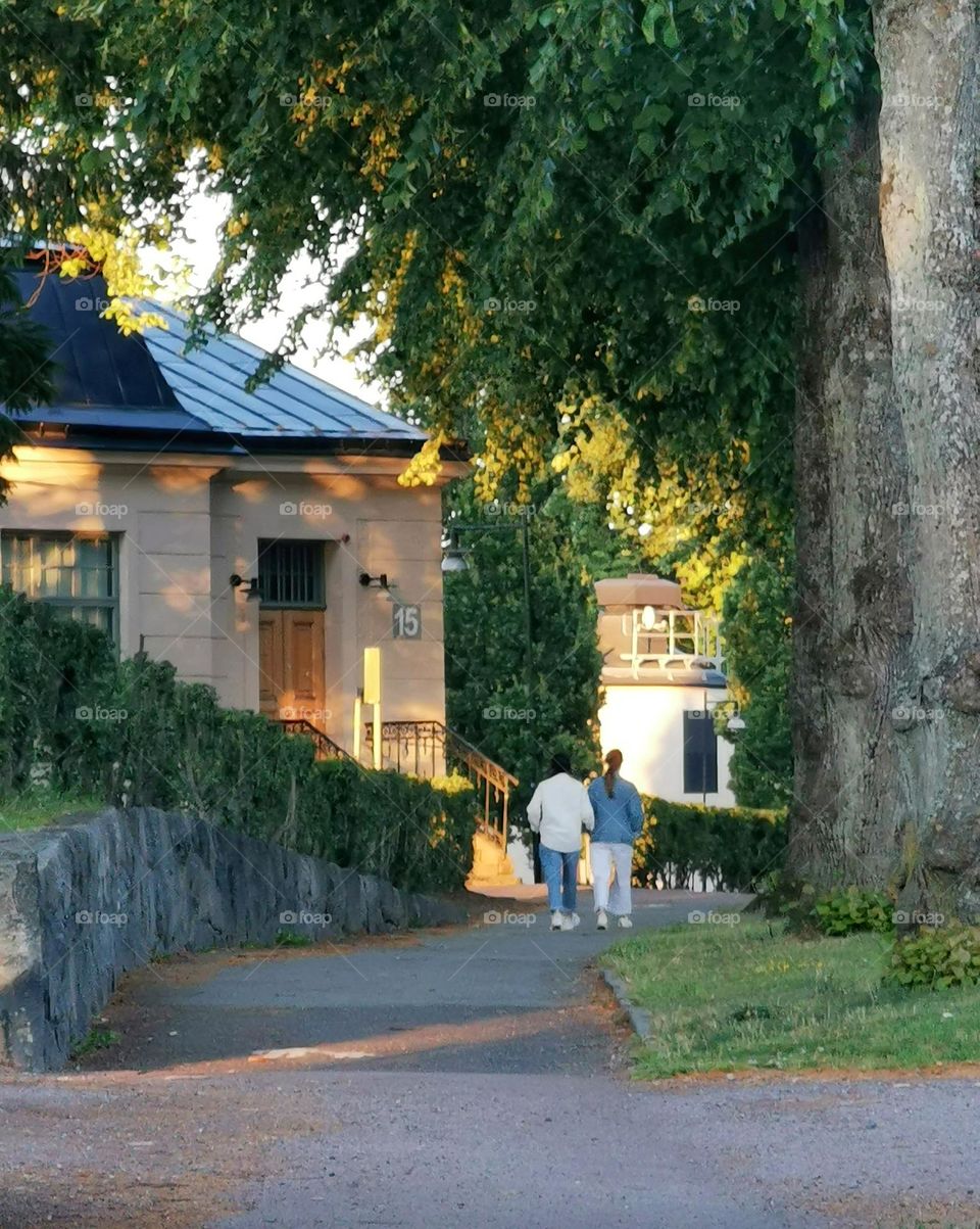 Evening walk