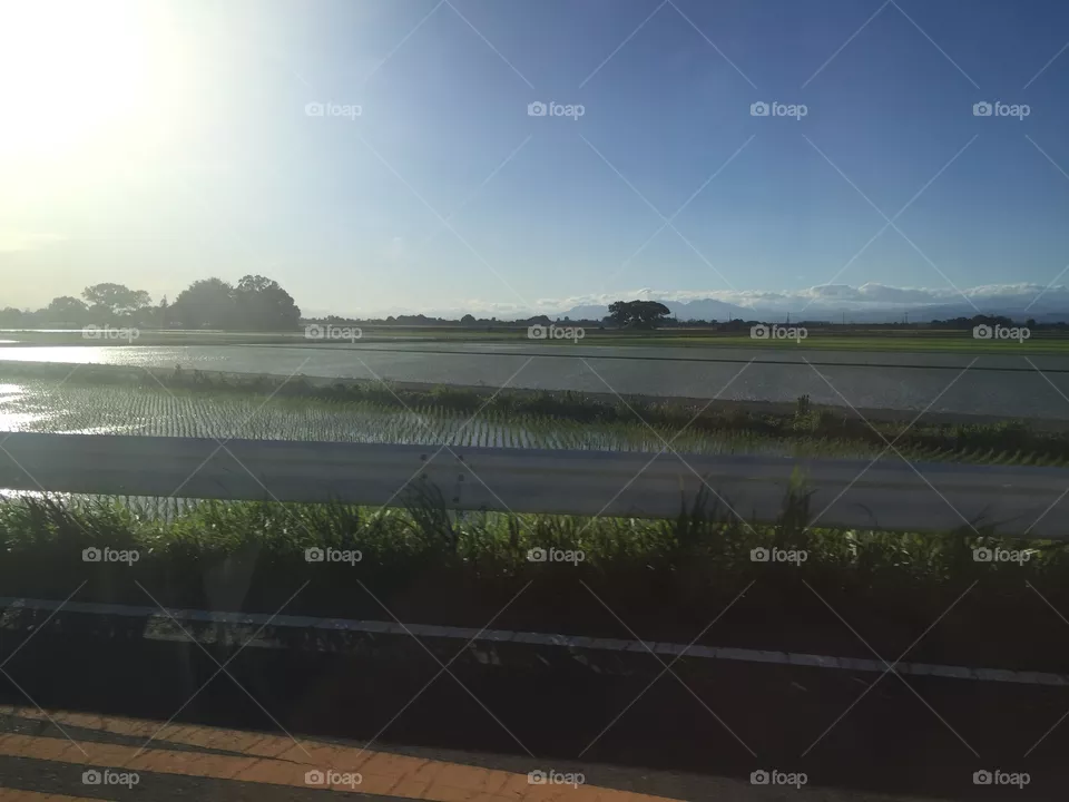 Scenery