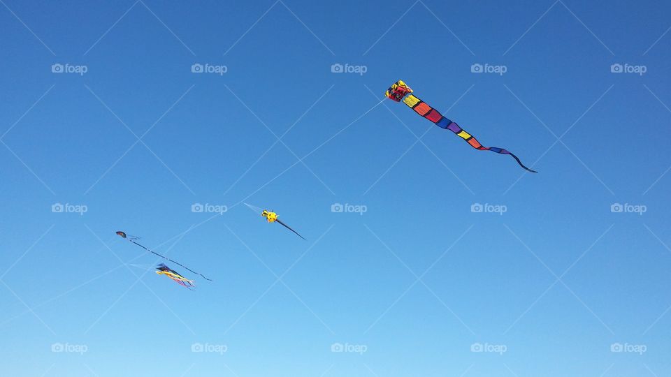 Sky, Aircraft, Flight, Airplane, Action