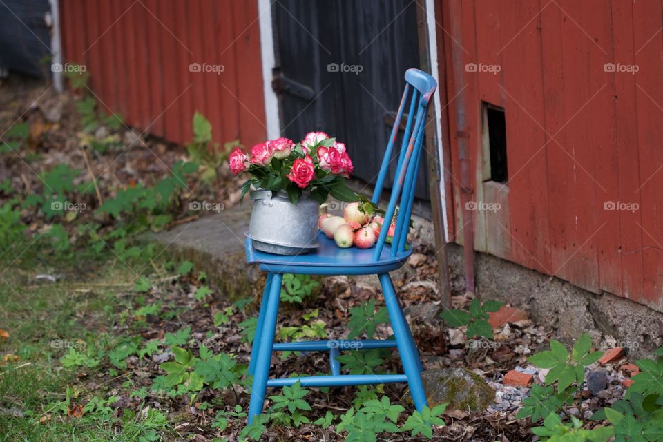 pink roses and apple