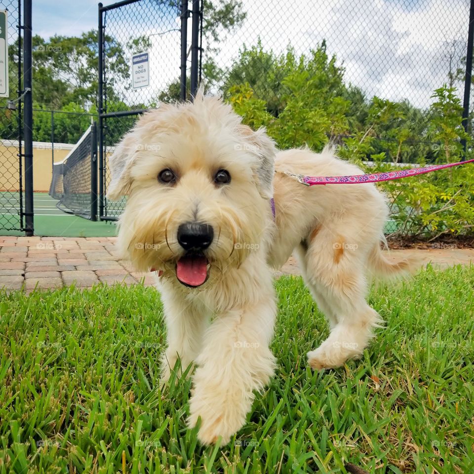 Proof that smiles are contagious 😊