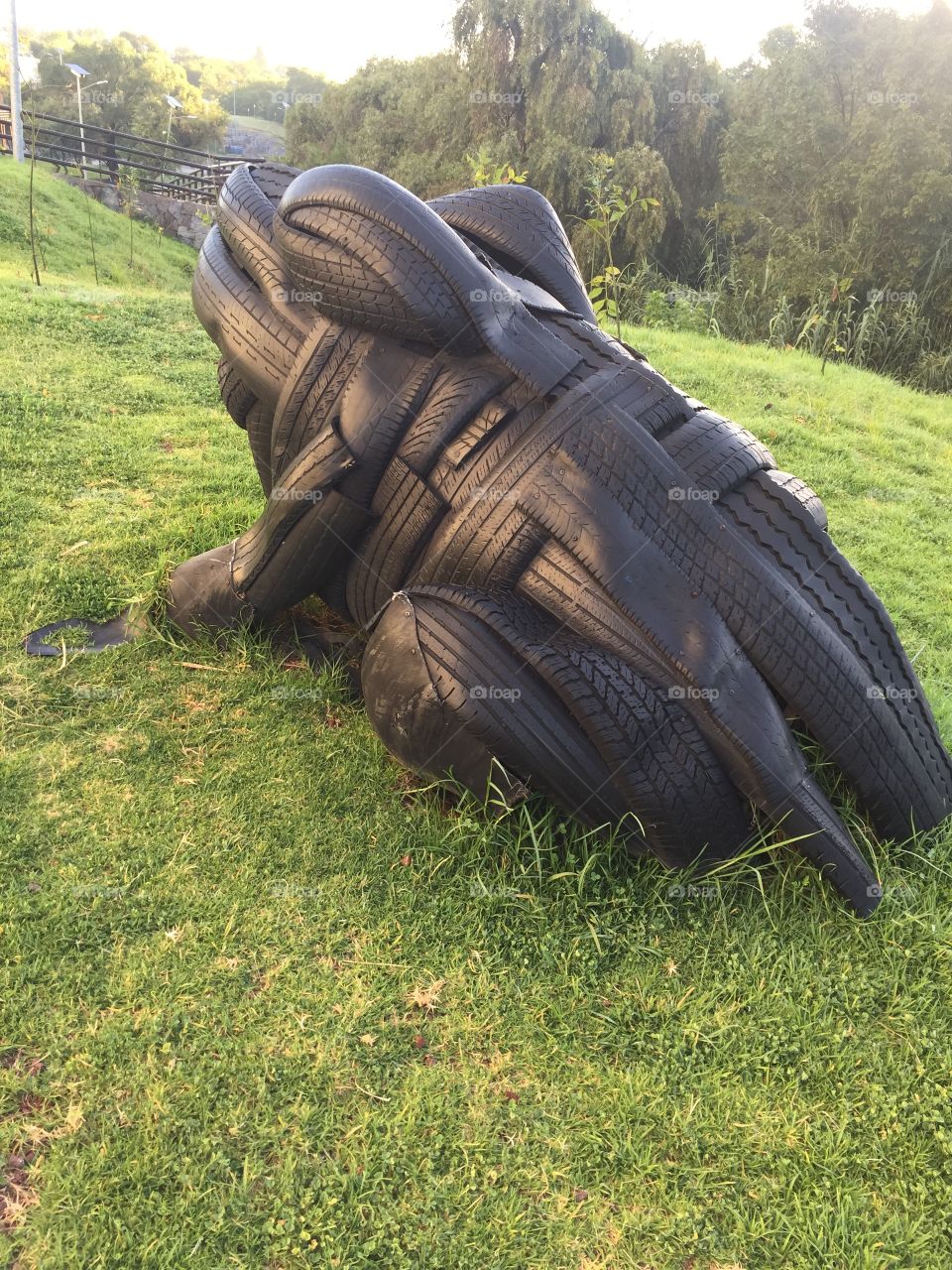 Frog Tyre 
sculpture