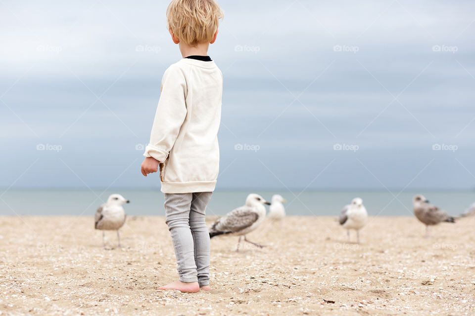 Boy on the beach with seagulls
