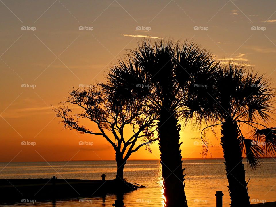 The perfect time is the golden hour, when the setting sun is filtering through the palm trees