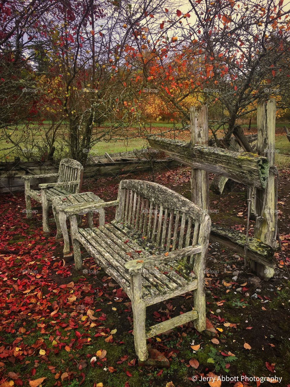  Vintage chairs in a peaceful setting