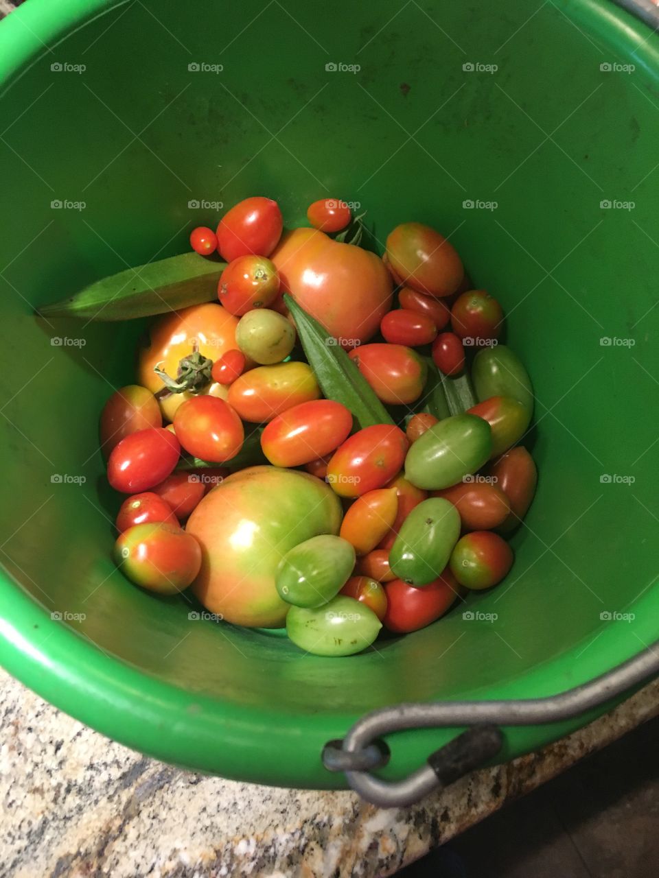 Garden pick