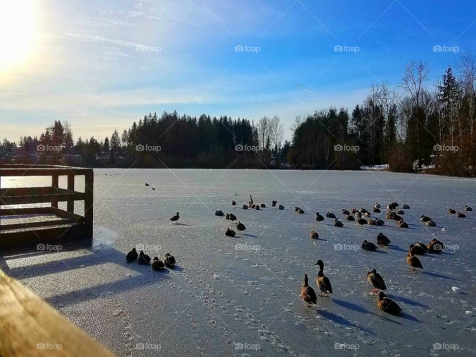 looking forward to spring