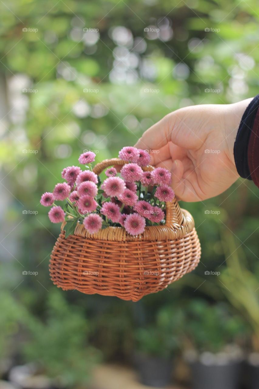 Pink flowers in a rattan vase on hand