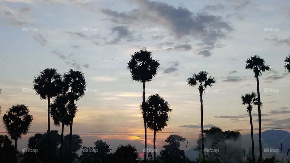 The sky is very very nice it is evening sunset