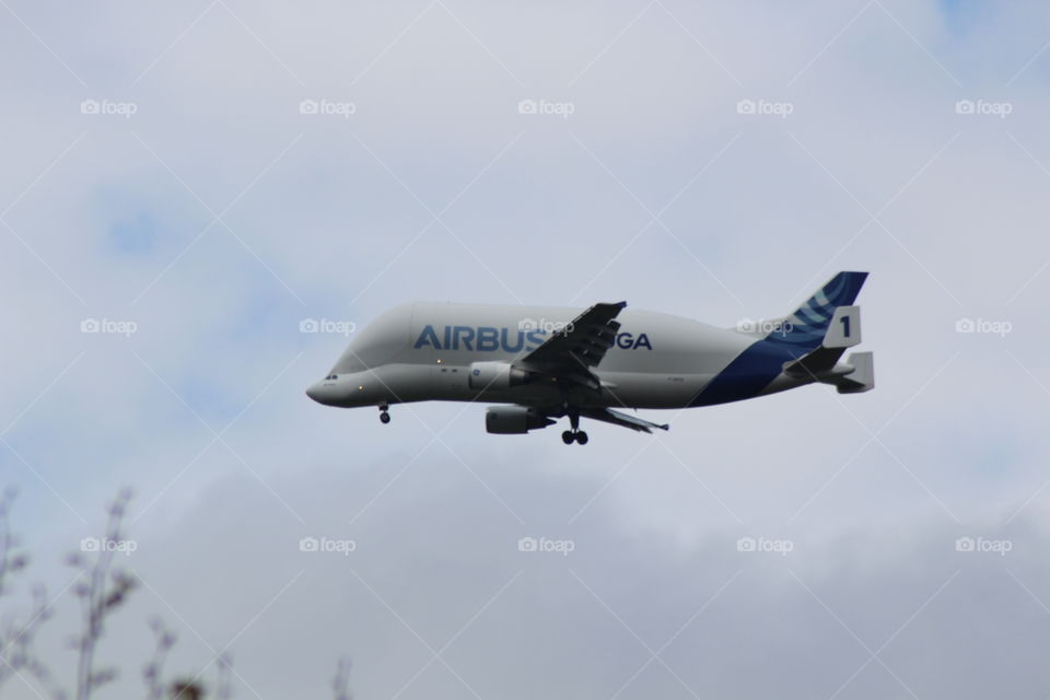 Beluga freight plane coming in to land