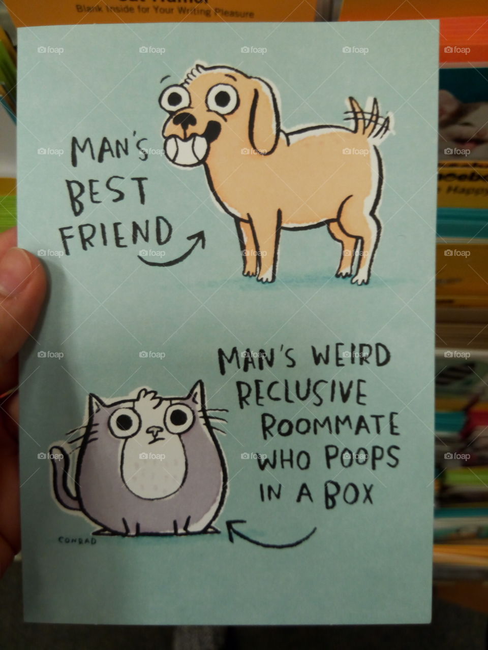 fun card