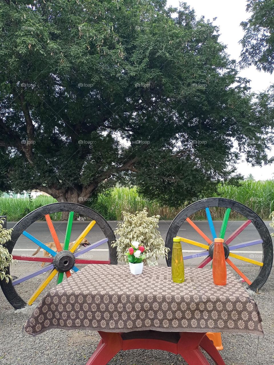 Beautiful view of the Indian village restaurant dinner with nature nice decoration green background colour full round wheels water bottles it's looking nice