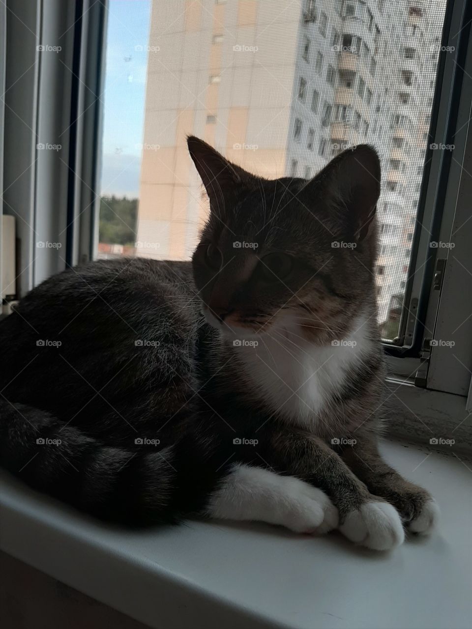 Ну   ,что   там?