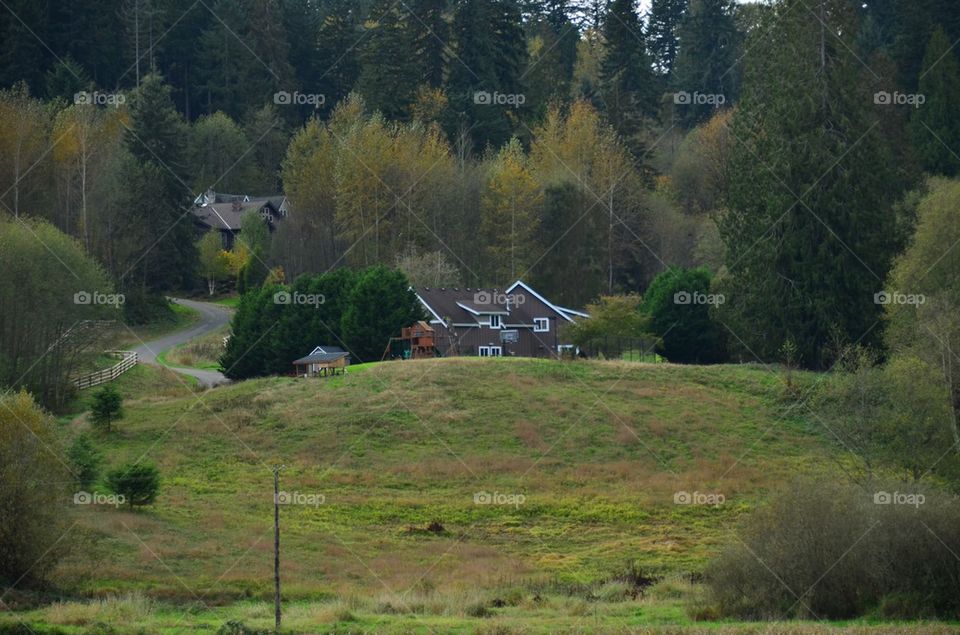 House in the Woods