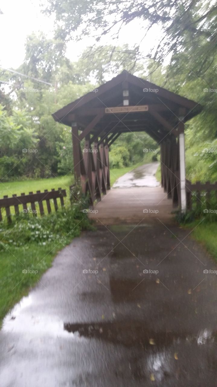Bridge path