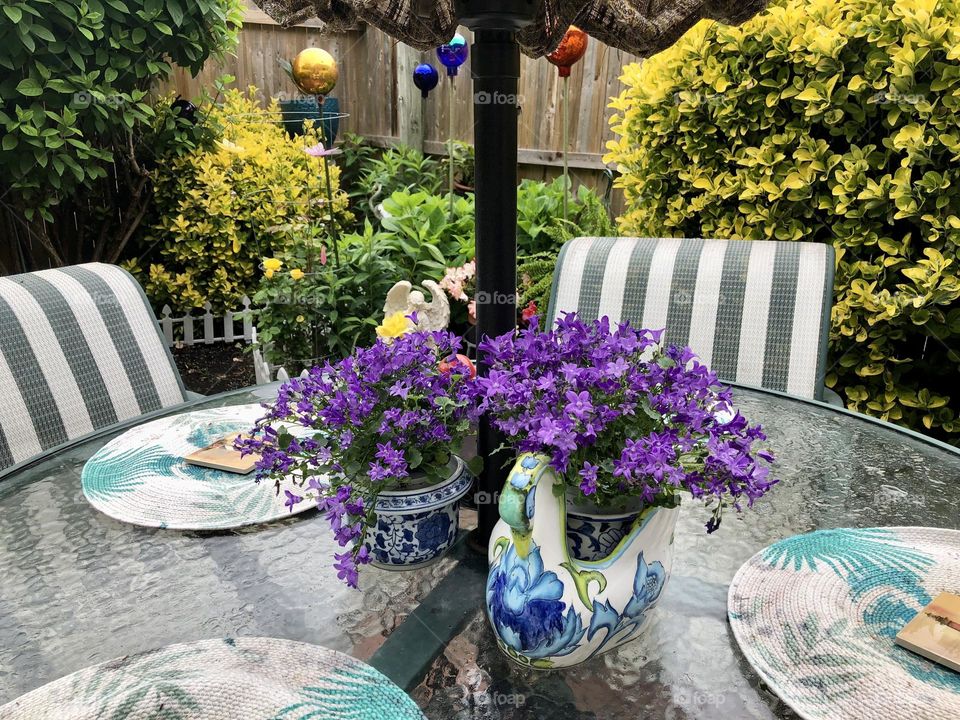Purple flowers & garden Décor 