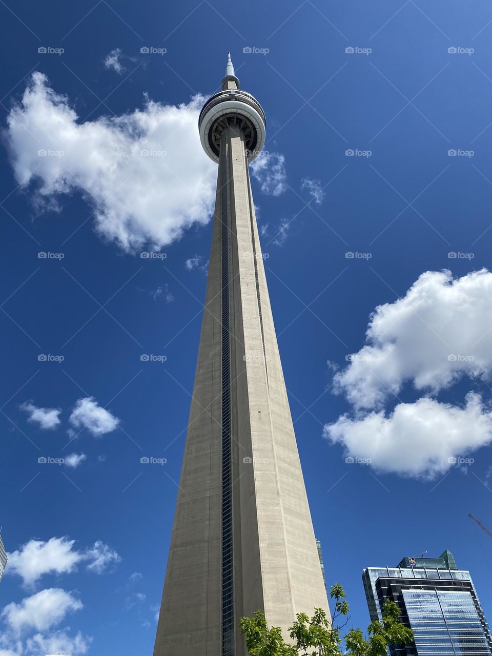Look up the CN tower 