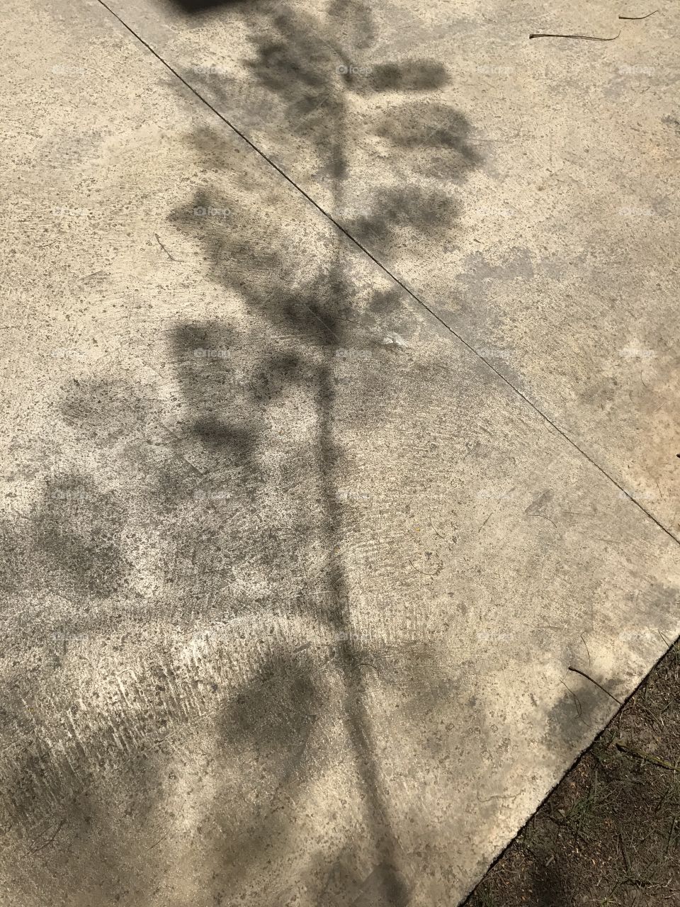 Cement Shadows